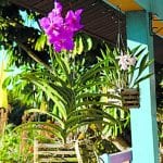 article image -